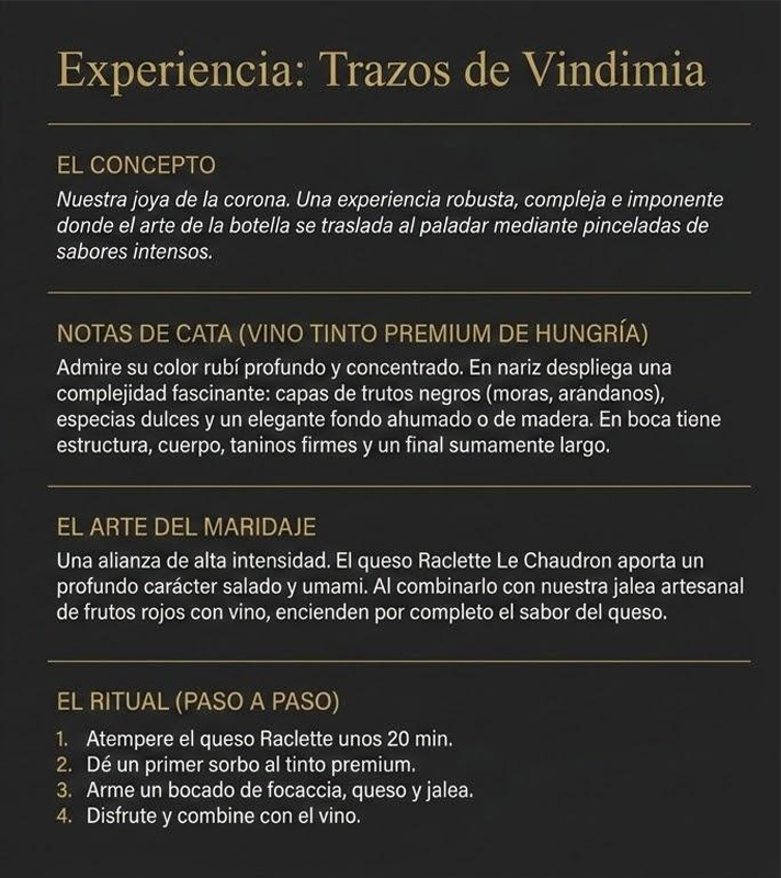 Trazos de Vindimia 🍷🎀