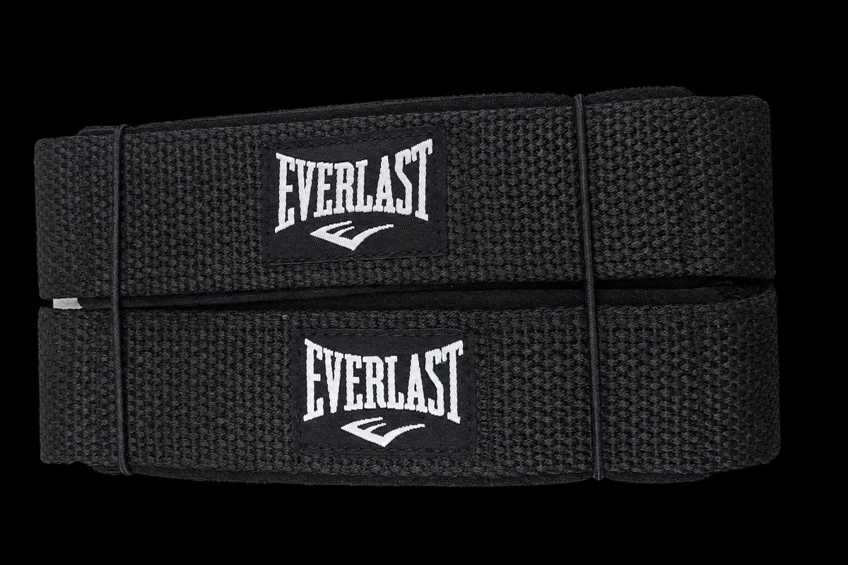 Everlast Straps Gym