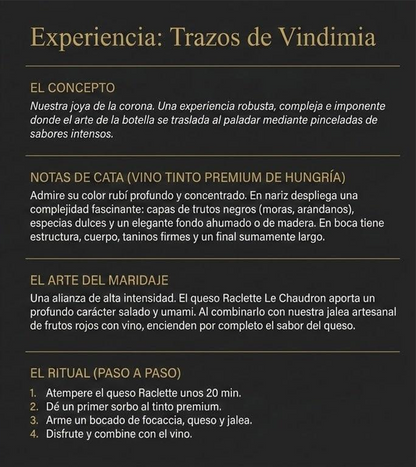 Trazos de Vindimia 🍷🎀