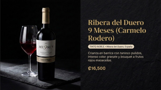 Ribera del Duero 9 Meses (Carmelo Rodero) - Tinto Roble 🍷🎩