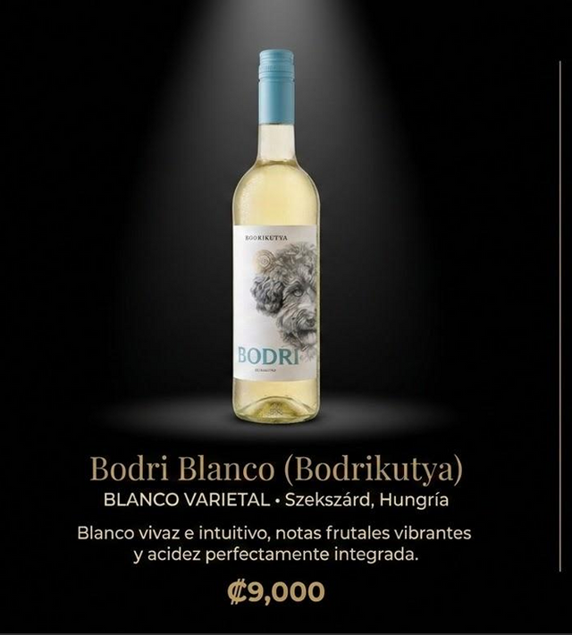 Bodri Blanco (Bodrikutya) - Blanco Varietal 🍷🎩