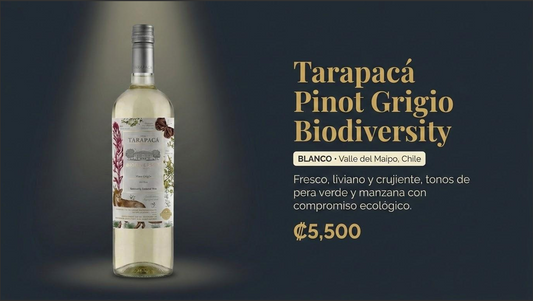 Tarapacá Pinot Grigio Biodiversity - Blanco 🍷🎩