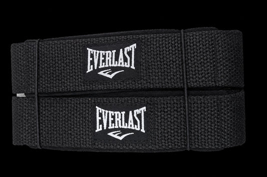 Everlast Straps Gym